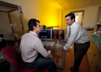 Hadi Shafiee and Rafael Davalos, Virginia Tech