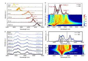 Figure 3 | Simulated and measured output characteristics of 6.5 μm/3 μm core diameter TBAY fibers