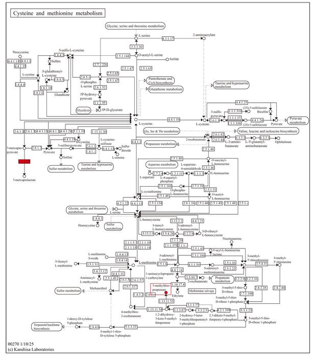 Screening of key metabolic pathways