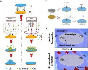 External physical field regulation of ion transport and dendrite growth.