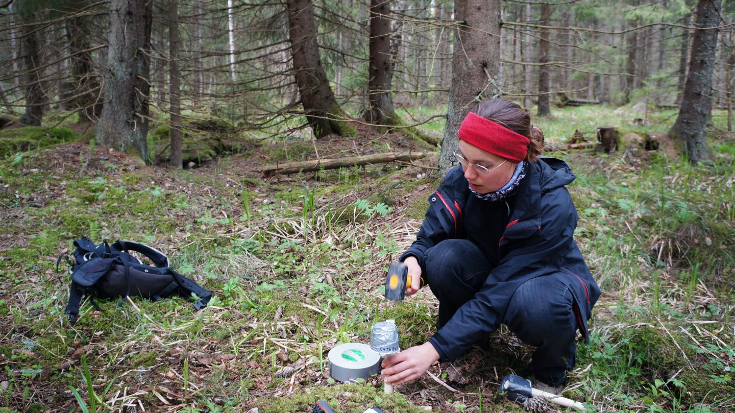 Installing the Temperature Data Logger in Field
