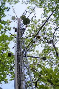 Flux Tower