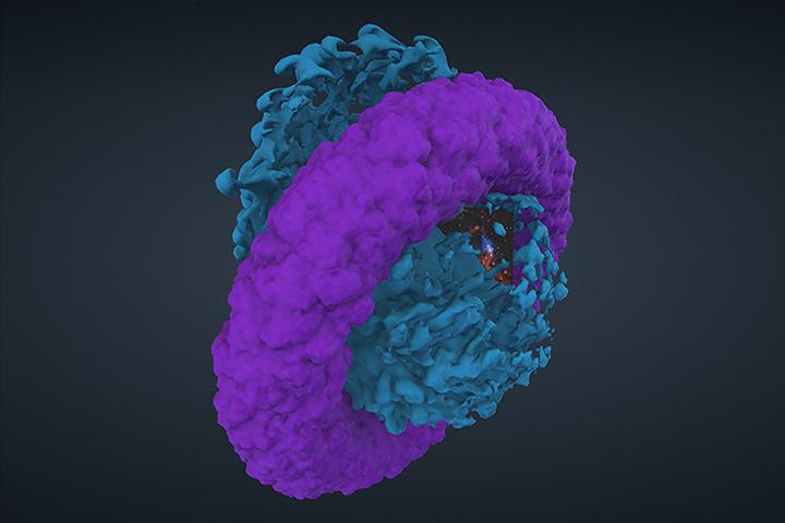 3D Model of IC 443 in Voyager Platform