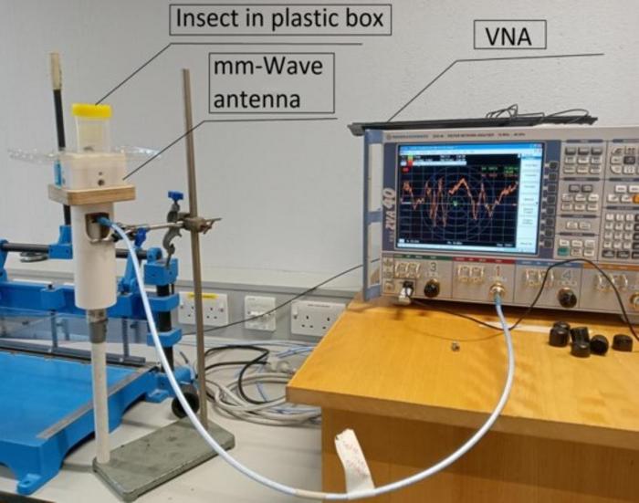 Experimental setup