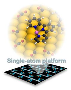 Single-atom platform graphic