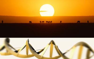 DNA Suggests Genetic Material Moved from Archaic Humans to Anatomically Modern Humans in Africa