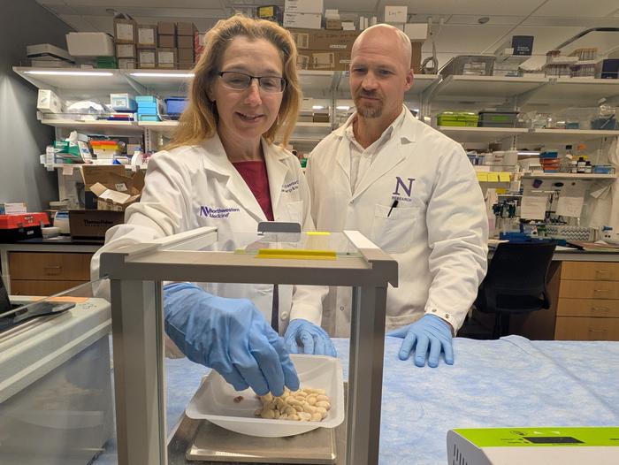 Study authors Drs. Stephanie Eisenbarth and Adam Williams conducting allergy research