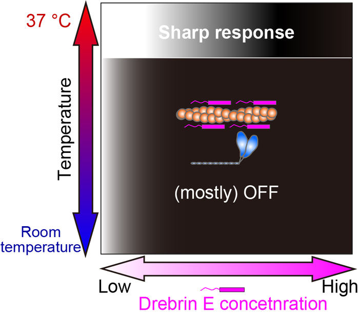 Fig.3
