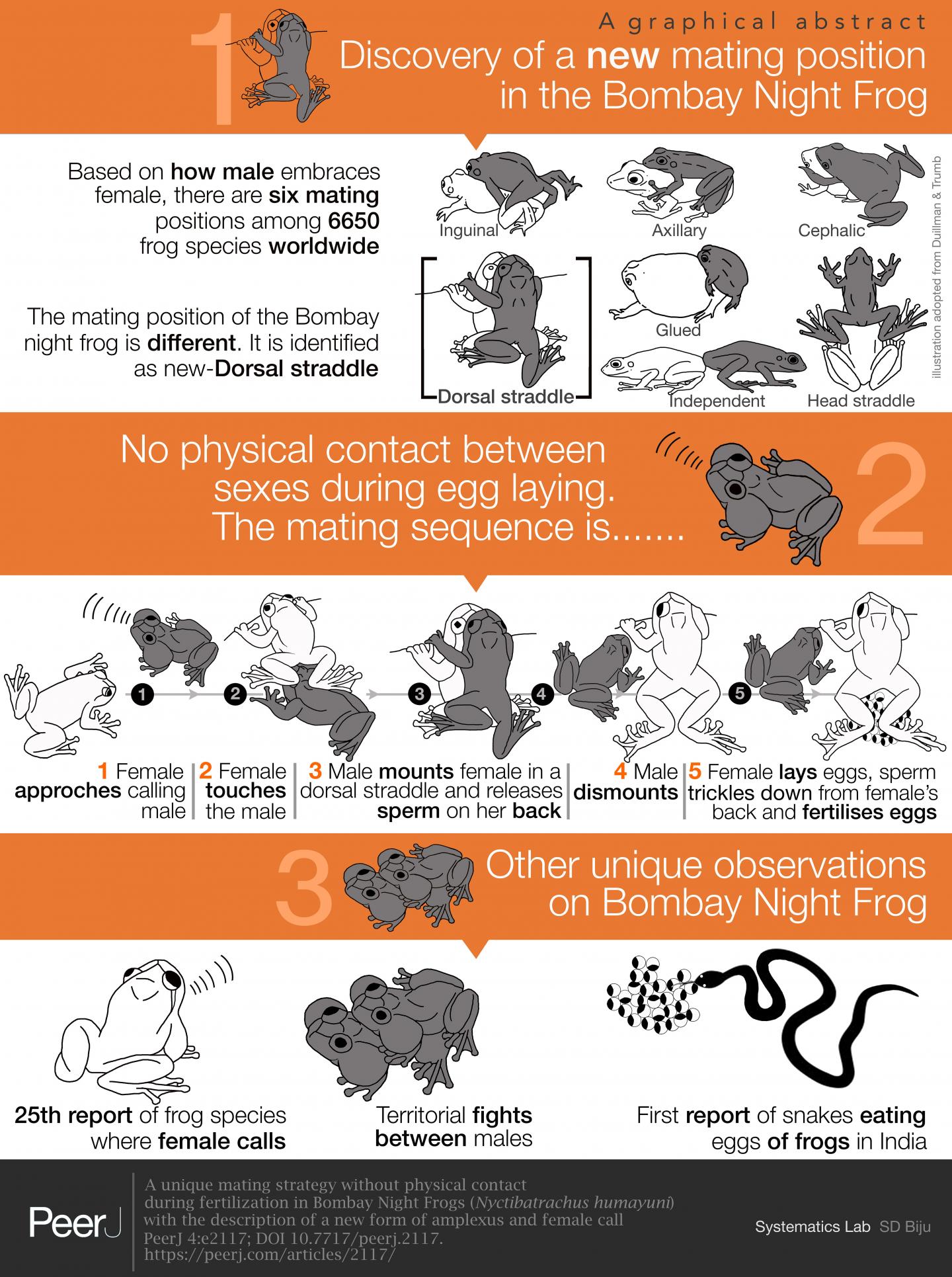 Graphical Abstract