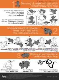 Graphical Abstract