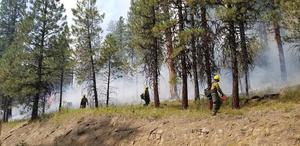 Prescribed burn (2)