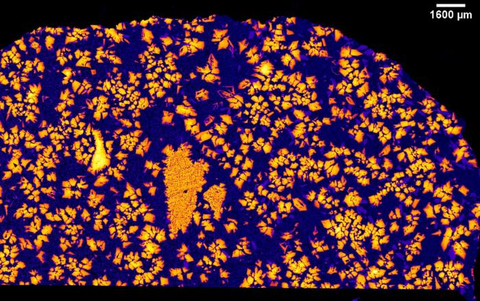 An X-ray image of NWA 12774