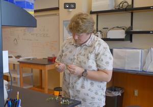 Tiny Windows in Petals