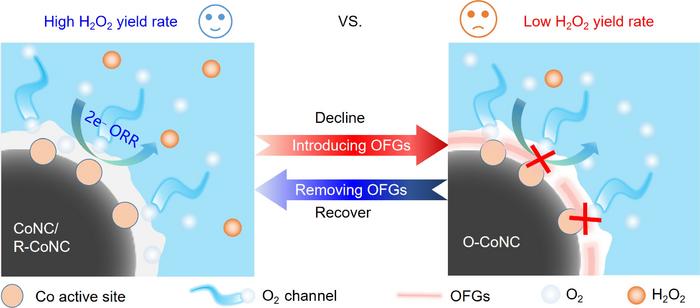 Effects of Oxygenated Groups on CoNC Catalysts for H₂O₂ Electrosynthesis