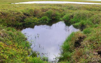 A Thermokarst Lake