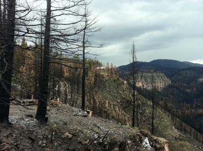 New Mexico's Las Conchas Fire