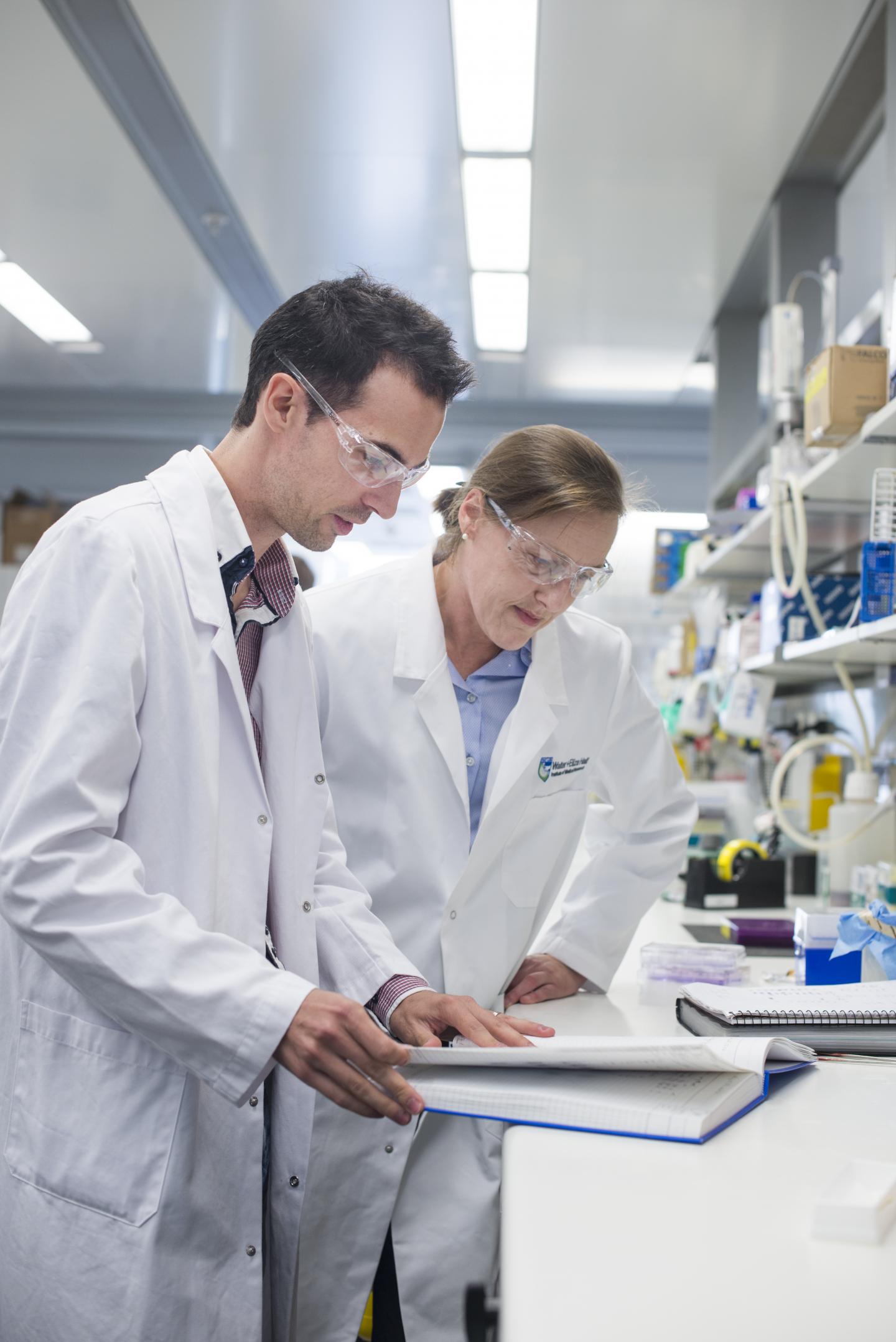 Gabrielle Belz and Cyril Seillet, Walter and Eliza Hall Institute
