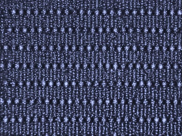 Microscope Image of Thin Film with CAR T Cells
