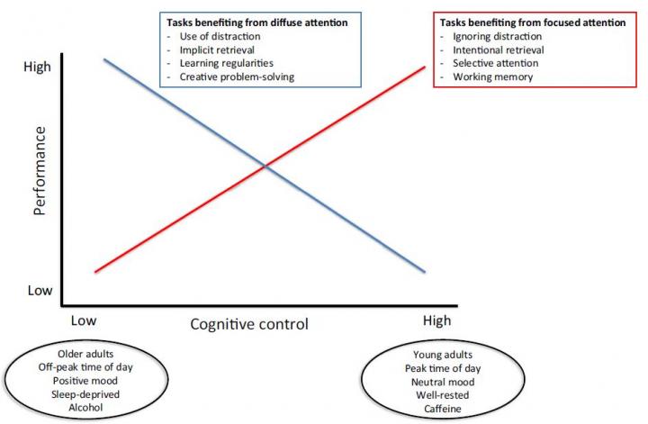 Task Performance vs. Cognitive Control