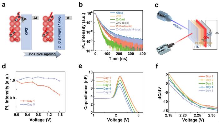 Figure 3 | Charge–carrier dynamics in the QDs.