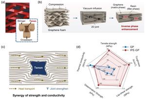 High-performance graphene papers via inverse phase enhancement.
