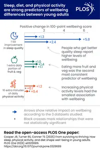 From surviving to thriving: How sleep, physical activity, and diet shape well-being in young adults