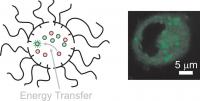 Supramolecules (1 of 2)