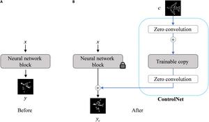Fig. 3. Backbone and branch structure of ControlNet. (A) Original latent diffusion model structure. (B) ControlNet structure with the integrated branch network.