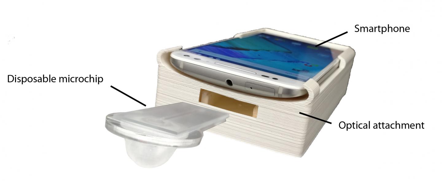 A Rapid, Automated and Inexpensive Fertility Test for Men
