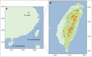 Sampling sites of Dopasia formosensis