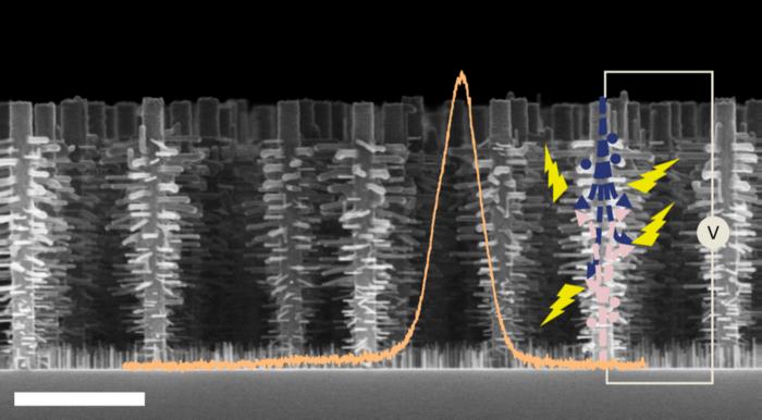 Indirect-bandgap "nanotrees" direct light emission to nanoscale branches