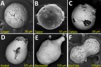 Impact Spherules