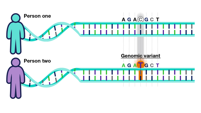 Clinical Genome (ClinGen) resource funding