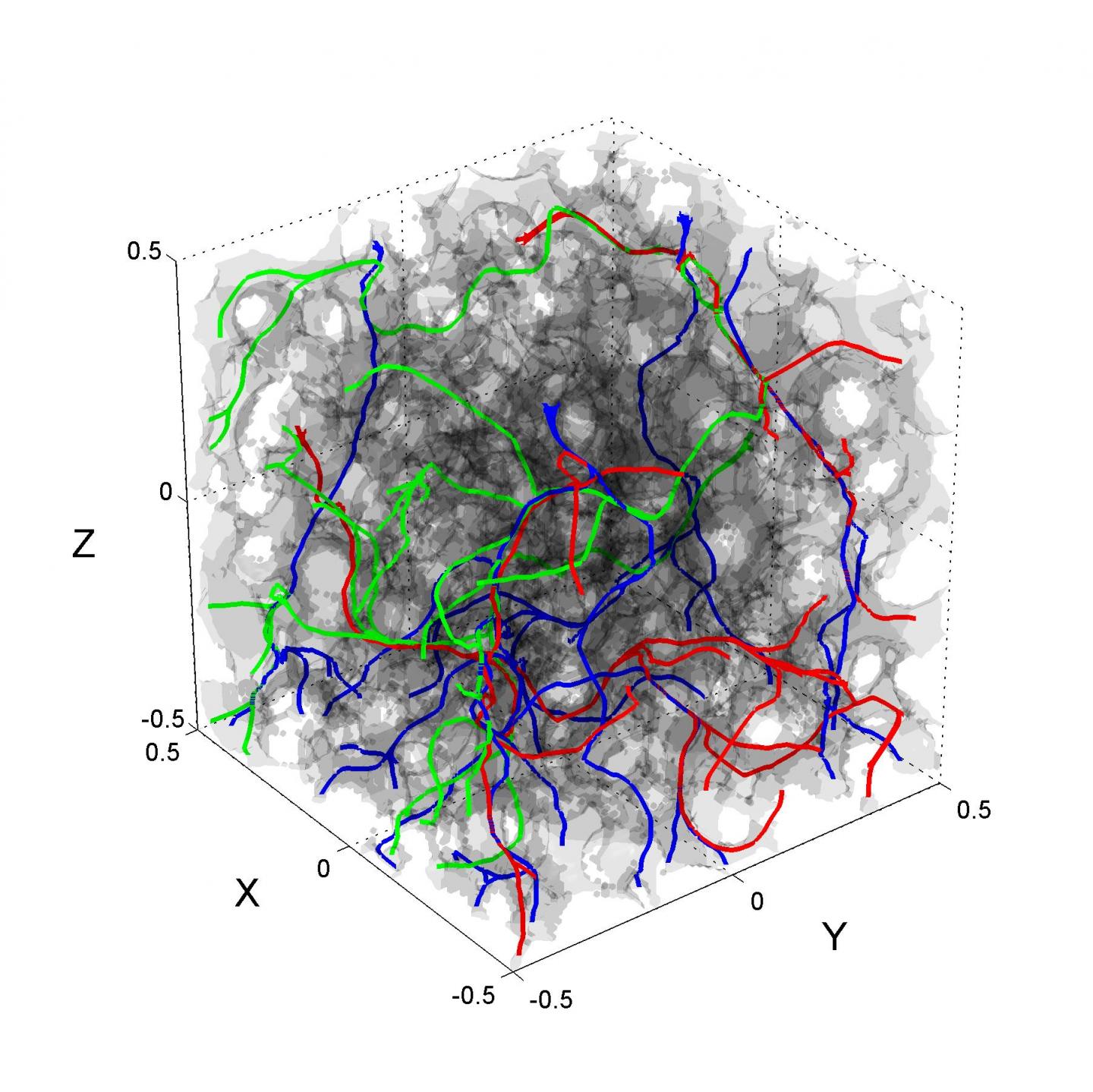The Pore Network