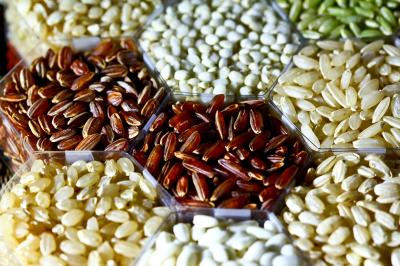 Rice Diversity