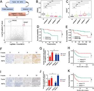 Identification and validation of prognostic proteomic biomarkers.