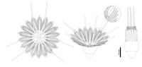 Artists' Reconstruction of <i>Daihua sanqiong</i>