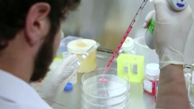 Beta Cell Regeneration Study