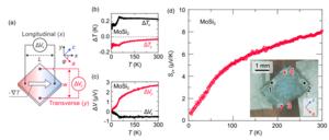 Transverse thermopower measurements of MoSi2