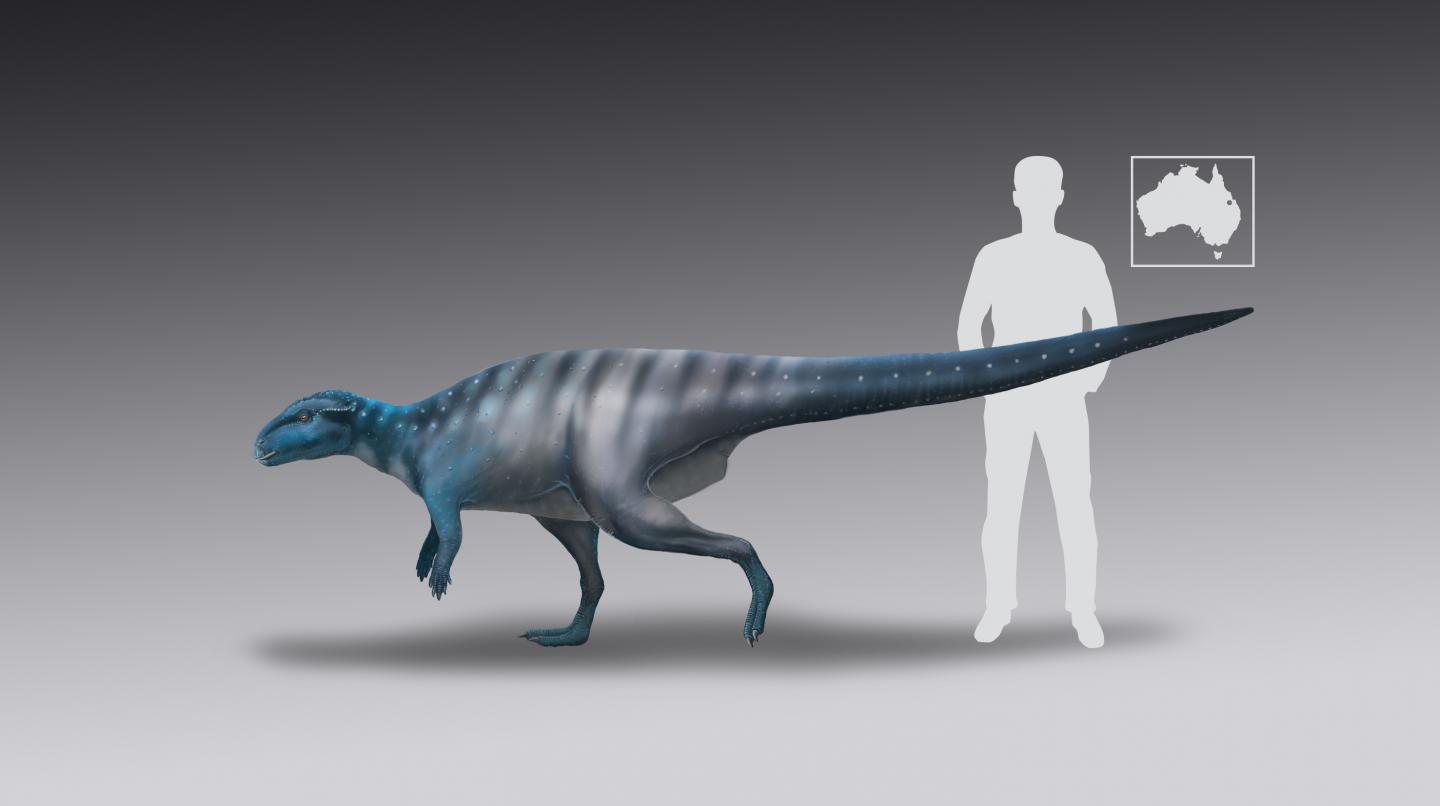 Reconstruction