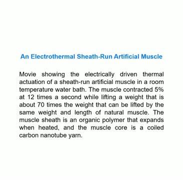 Fiber-Based Artificial Muscles Get New and Powerful Twists (7 of 8)