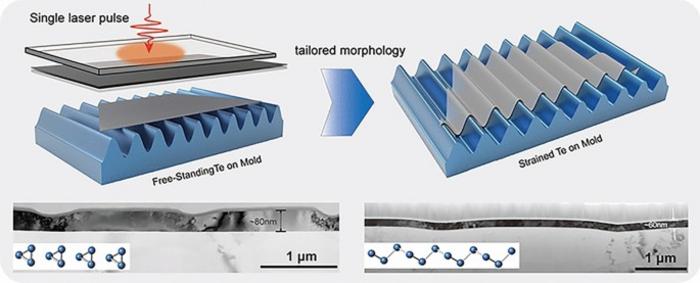 Lignocellulose‑Mediated Gel Polymer Electrolytes Toward Next‑Generation Energy Storage