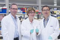 Walter and Eliza Hall Institute Researchers