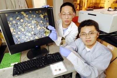 Wei Lin, Rongwei Zhang, Georgia Institute of Technology Research News