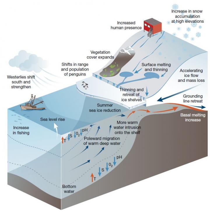 Impacts Diagram