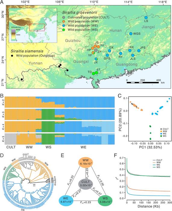 Population structure and population genomics of monk fruit.