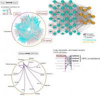 Big Data Analysis