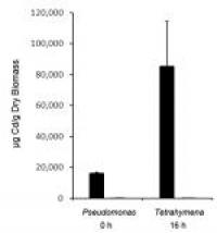 Concentration of Quantum Dots