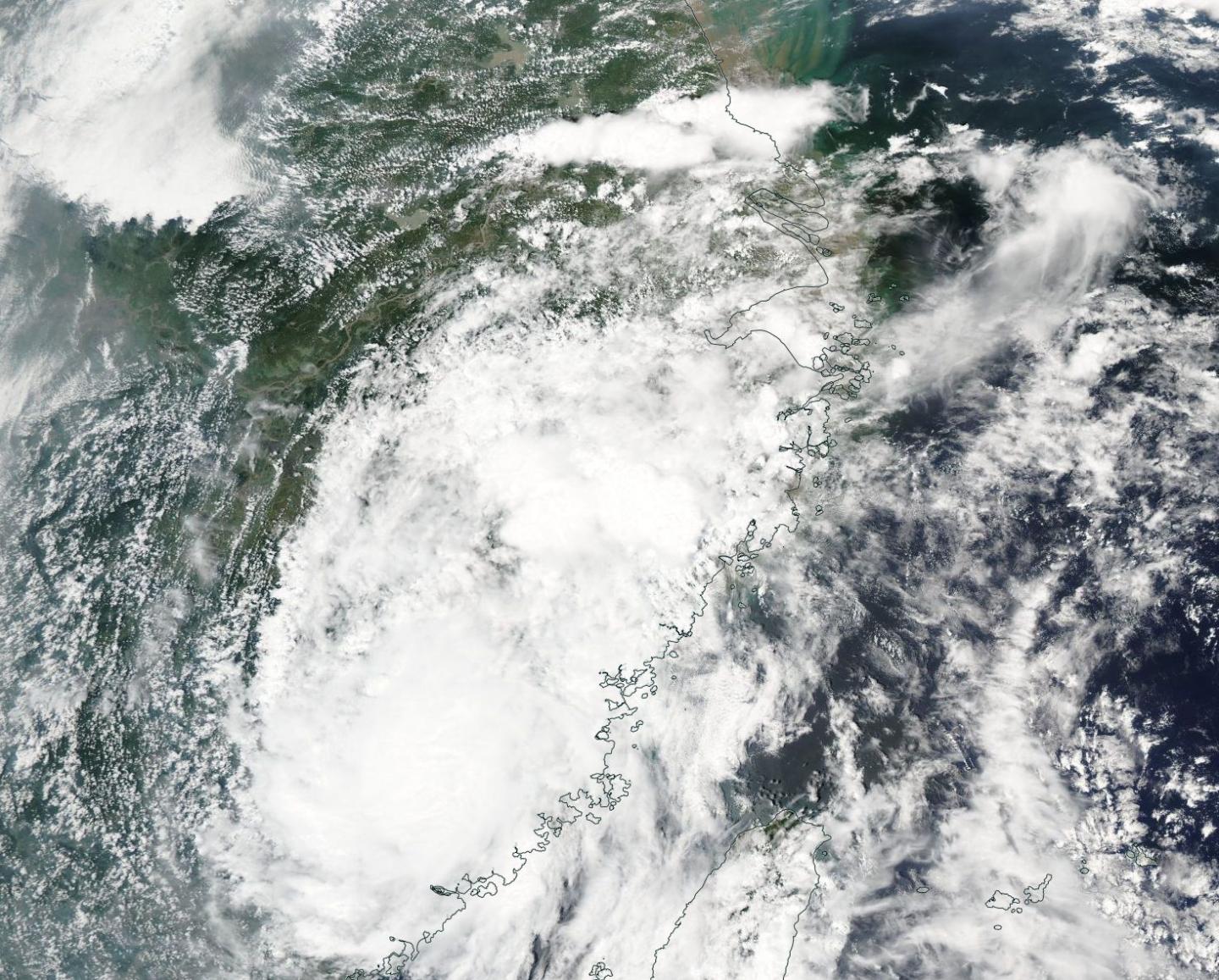 Aqua Image of Nesat