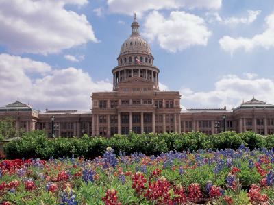 Texas Superstar Plants
